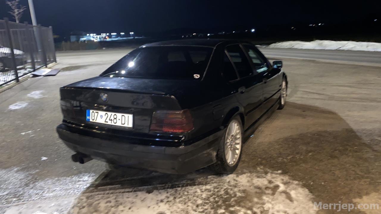 Бмв дельфин фото